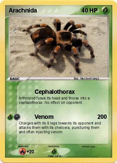 Pokemon Arachnida