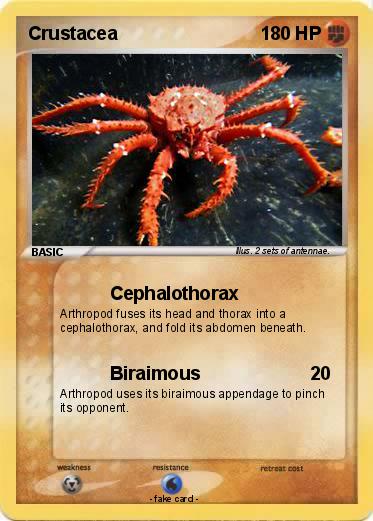 Pokemon Crustacea