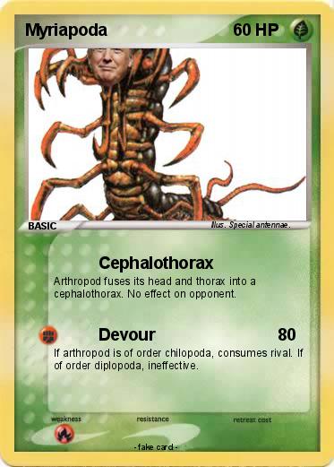 Pokemon Myriapoda