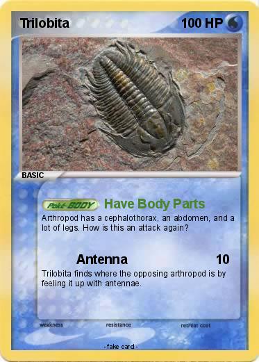 Pokemon Trilobita