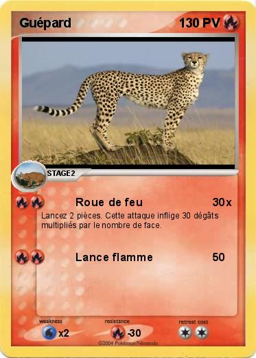 Pokemon Guépard