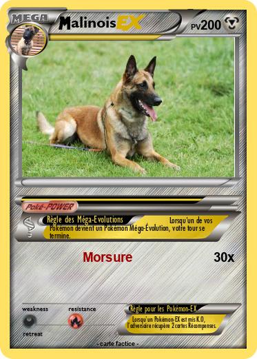 Pokemon alinois