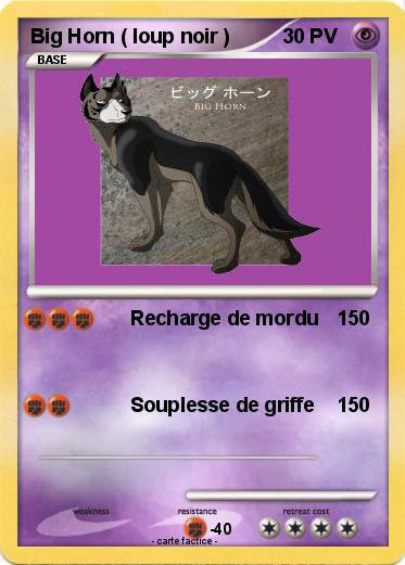 Pokemon Big Horn ( loup noir )