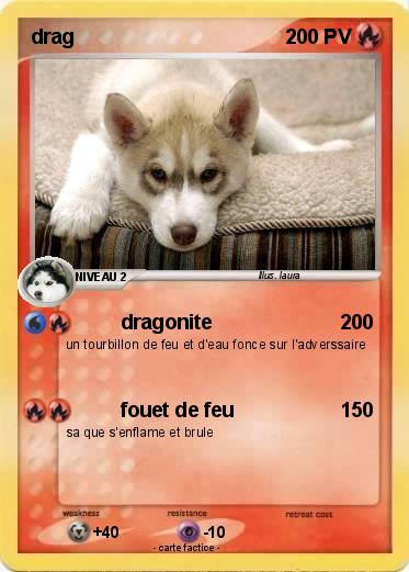 Pokemon drag