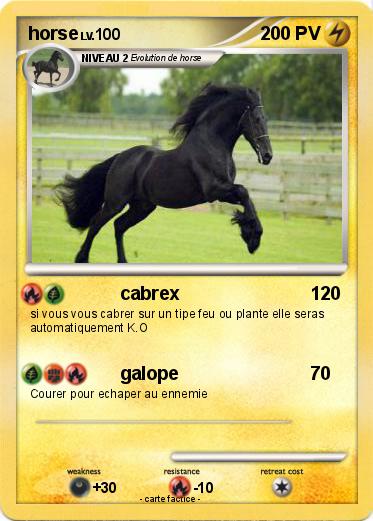 Pokemon horse