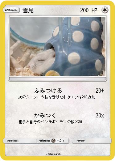Pokemon 雪見
