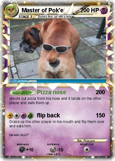 Pokemon Master of Pok'e