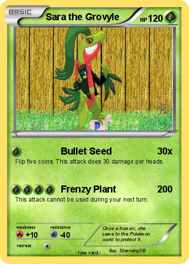 Pokemon Sara the Grovyle