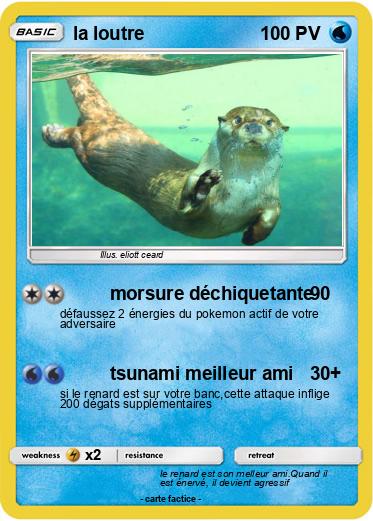 Pokemon la loutre