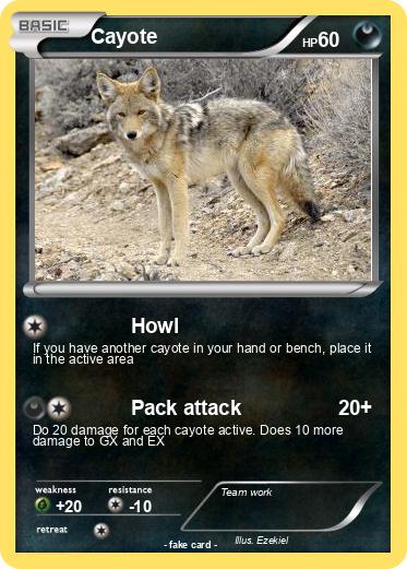 Pokemon Cayote