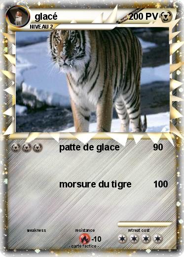 Pokemon glacé