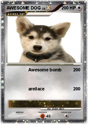Pokemon AWESOME DOG