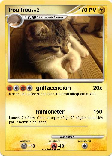 Pokemon frou frou