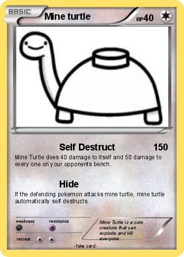Pokemon Mine turtle