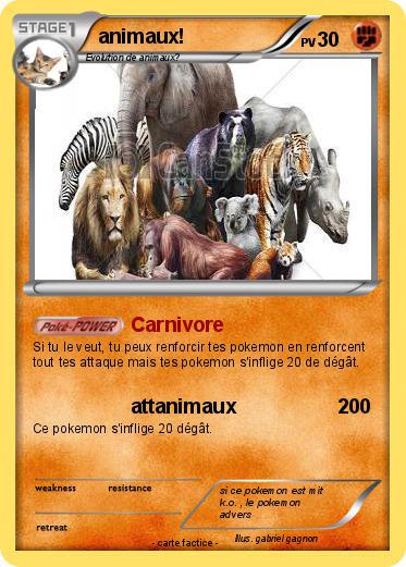 Pokemon animaux!