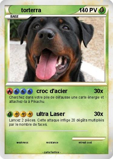 Pokemon torterra