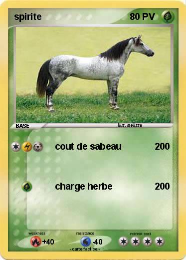 Pokemon spirite