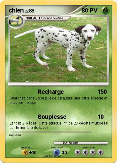 Pokemon chien