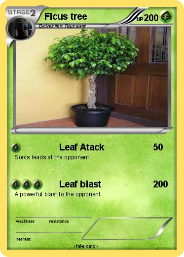 Pokemon Ficus tree
