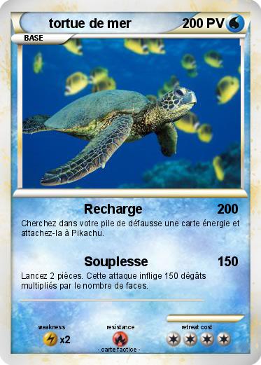 Pokemon tortue de mer