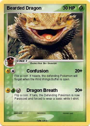 Pokemon Bearded Dragon