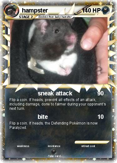 Pokemon hampster