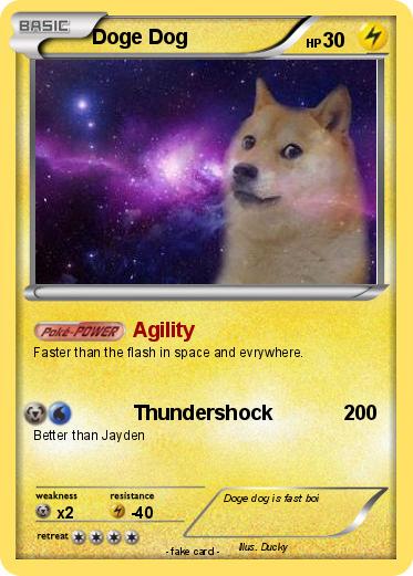 Pokemon Doge Dog