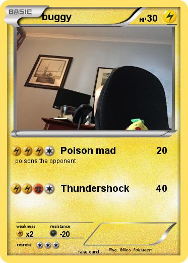 Pokemon buggy