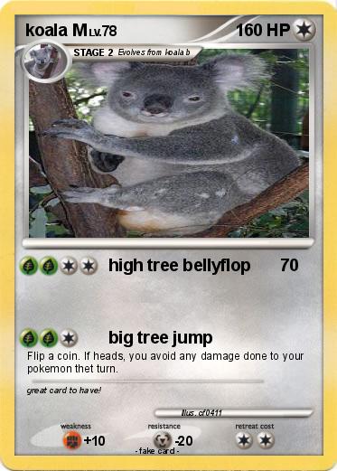 Pokemon koala M