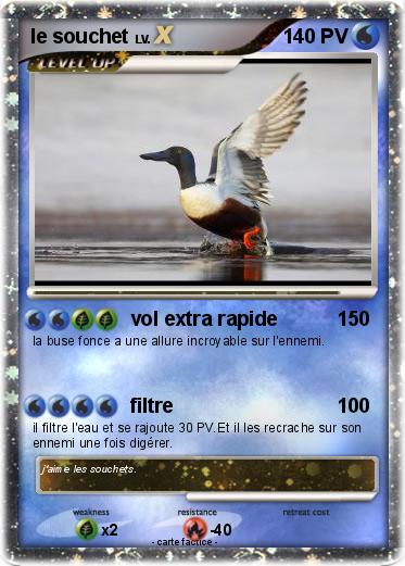 Pokemon le souchet
