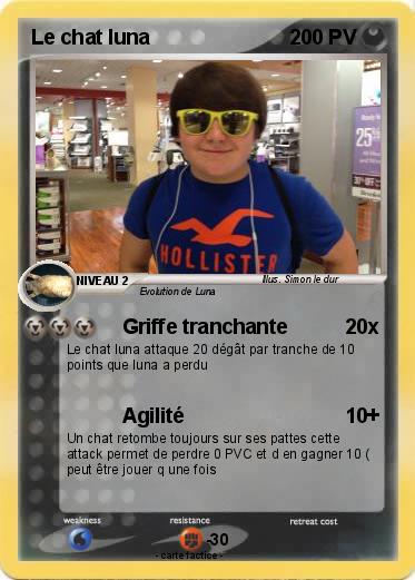 Pokemon Le chat luna