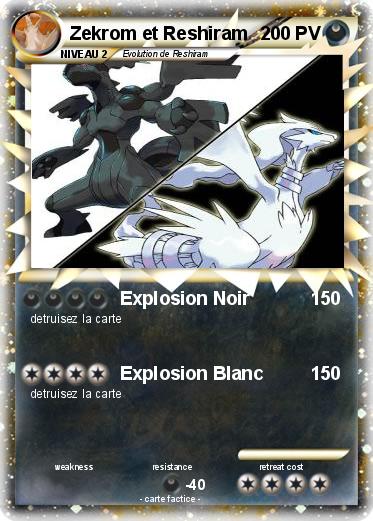 Pokemon Zekrom et Reshiram