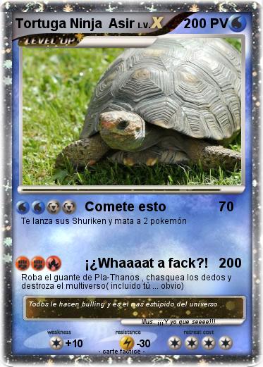 Pokemon Tortuga Ninja  Asir