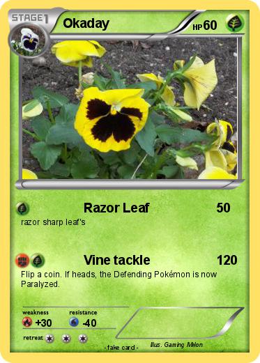 Pokemon Okaday