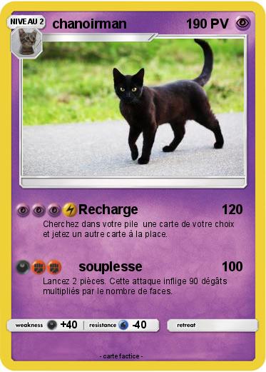 Pokemon chanoirman