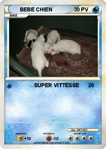 Pokemon BEBE CHIEN
