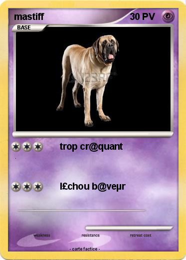 Pokemon mastiff