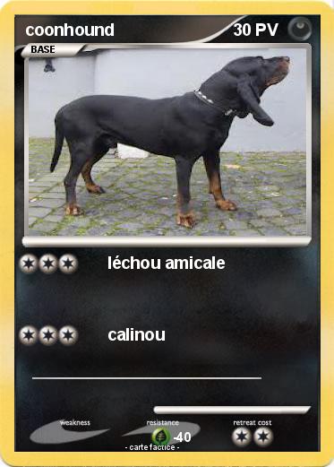 Pokemon coonhound