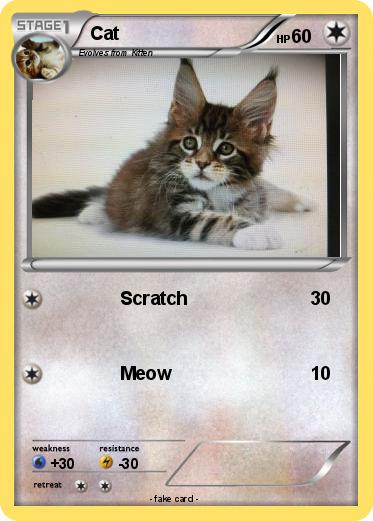 Pokemon Cat