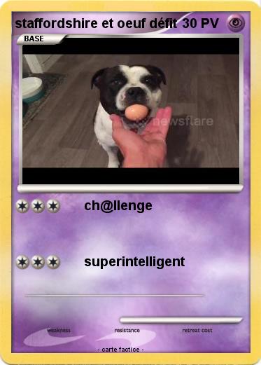 Pokemon staffordshire et oeuf défit