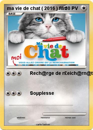 Pokemon ma vie de chat ( 2016 ) film