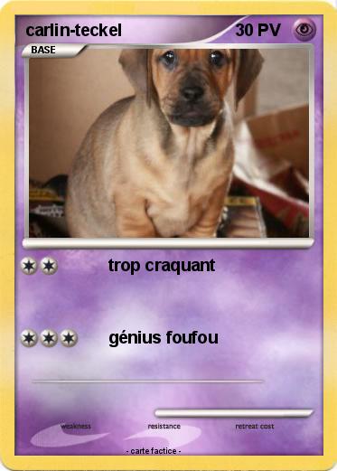 Pokemon carlin-teckel