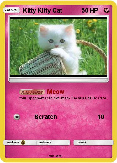 Pokemon Kitty KItty Cat