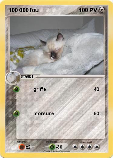 Pokemon 100 000 fou