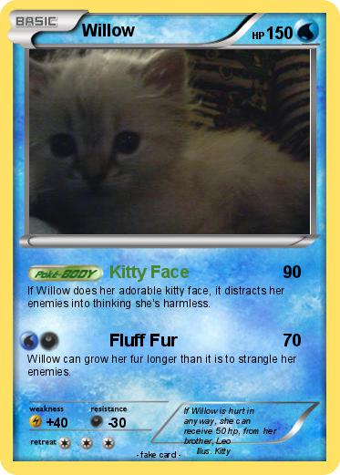 Pokemon Willow