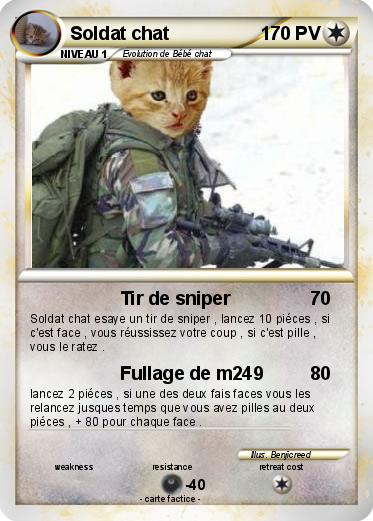 Pokemon Soldat chat