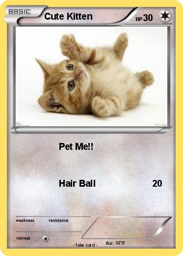 Pokemon Cute Kitten