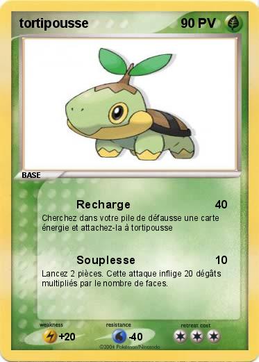 Pokemon tortipousse