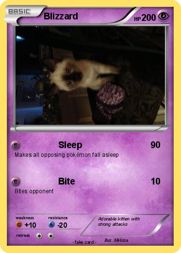 Pokemon Blizzard