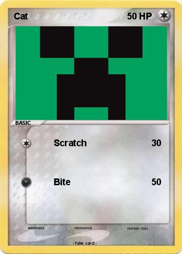 Pokemon Cat